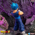 Dragon Ball Super Blood of Saiyans Special XIX Super Saiyan God Super Saiyan Vegito *Pre-order* 