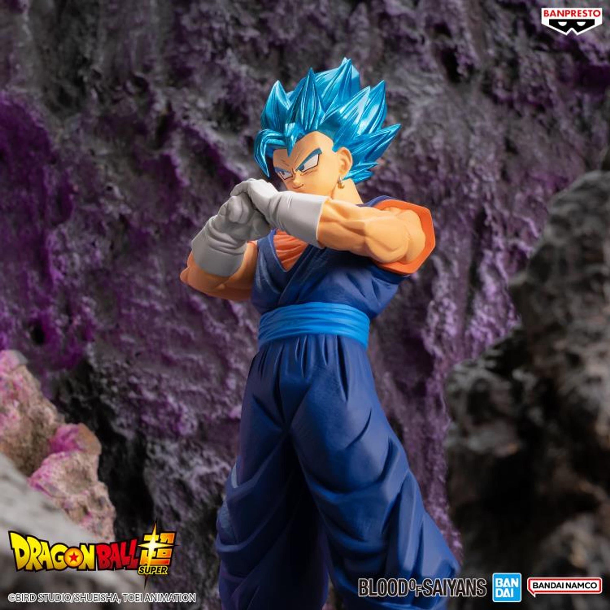 Dragon Ball Super Blood of Saiyans Special XIX Super Saiyan God Super Saiyan Vegito *Pre-order* 