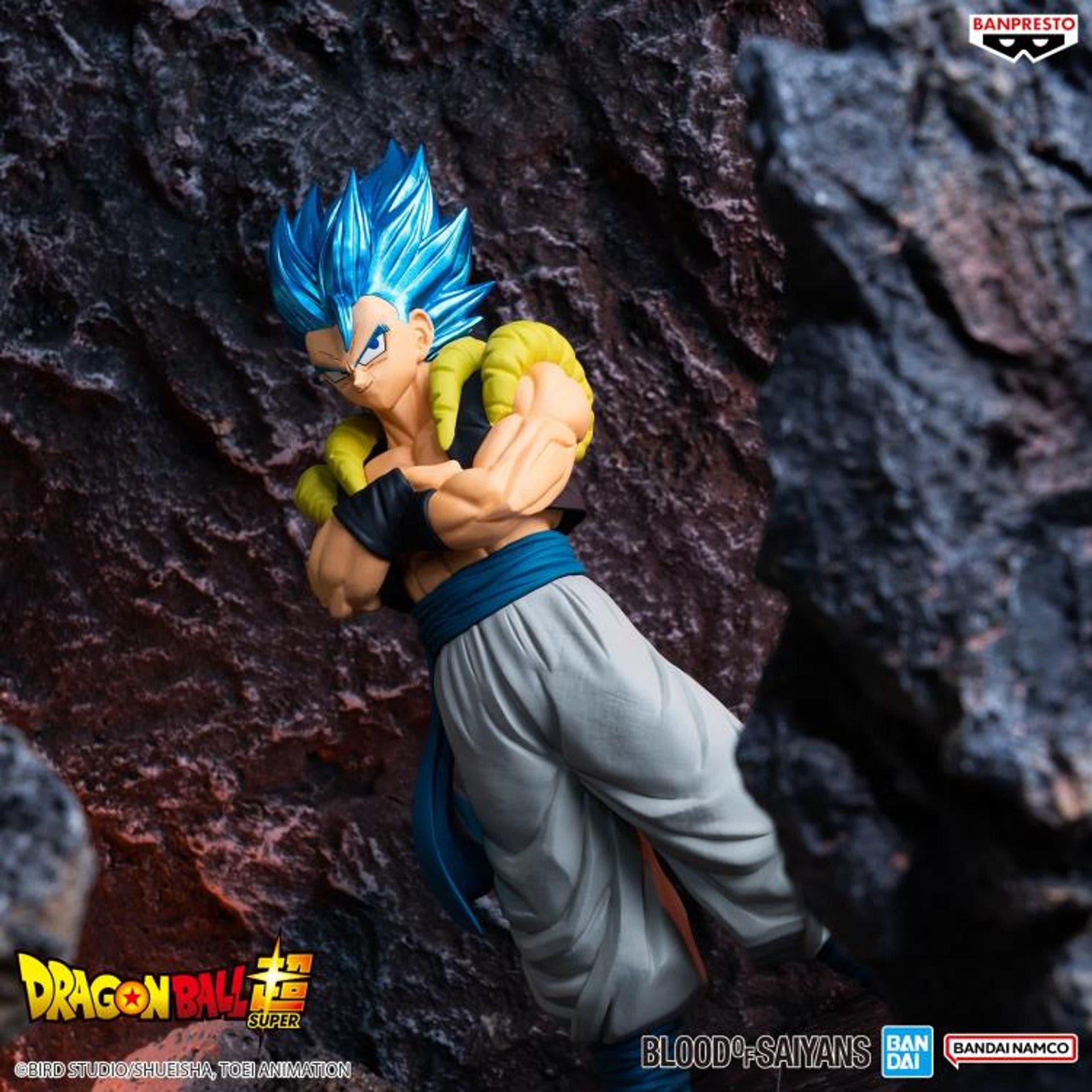 Dragon Ball Super Blood of Saiyans Special XVIII Super Saiyan God Gogeta *Pre-order* 